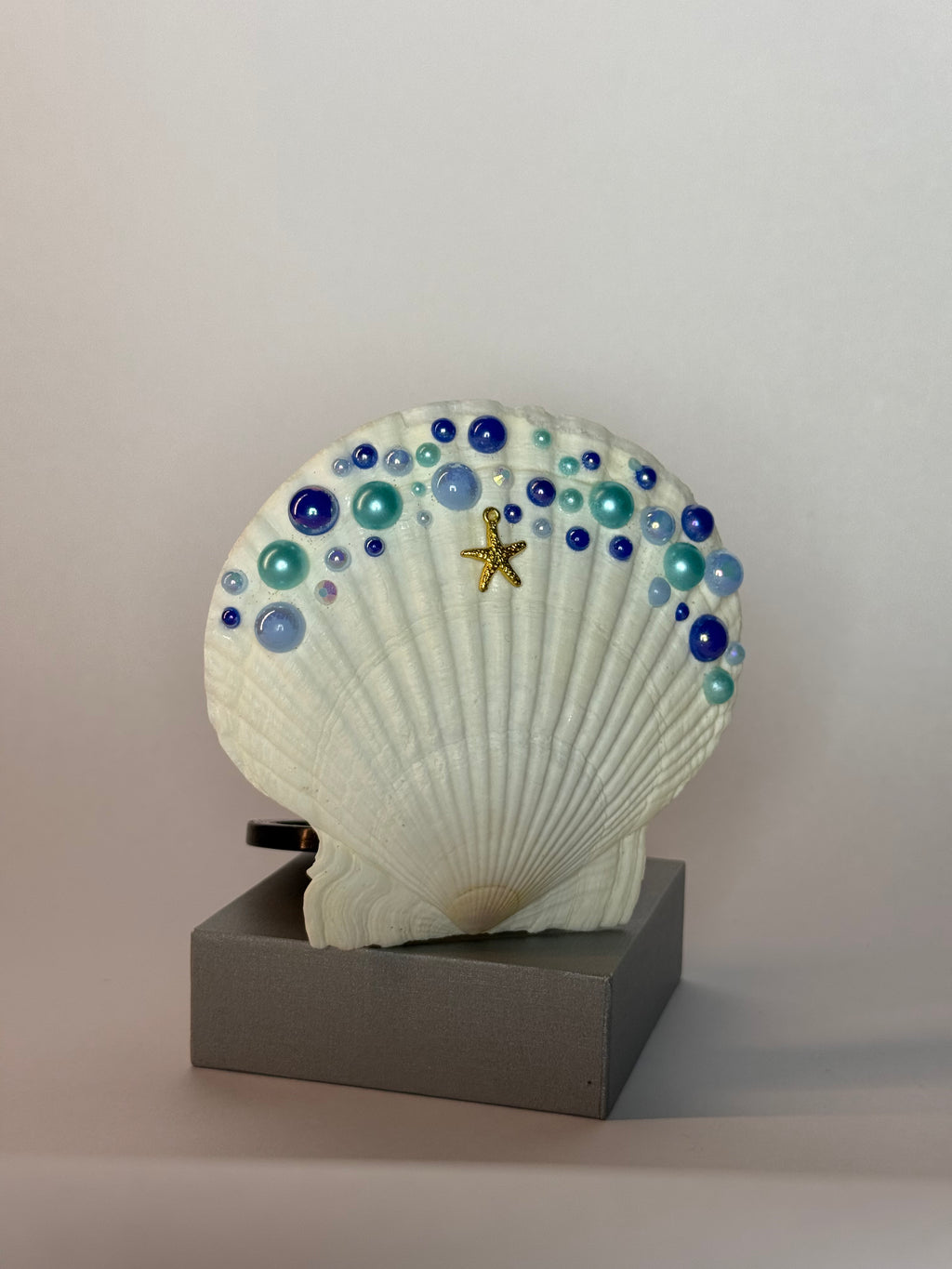 Azorea – Shell Mirror