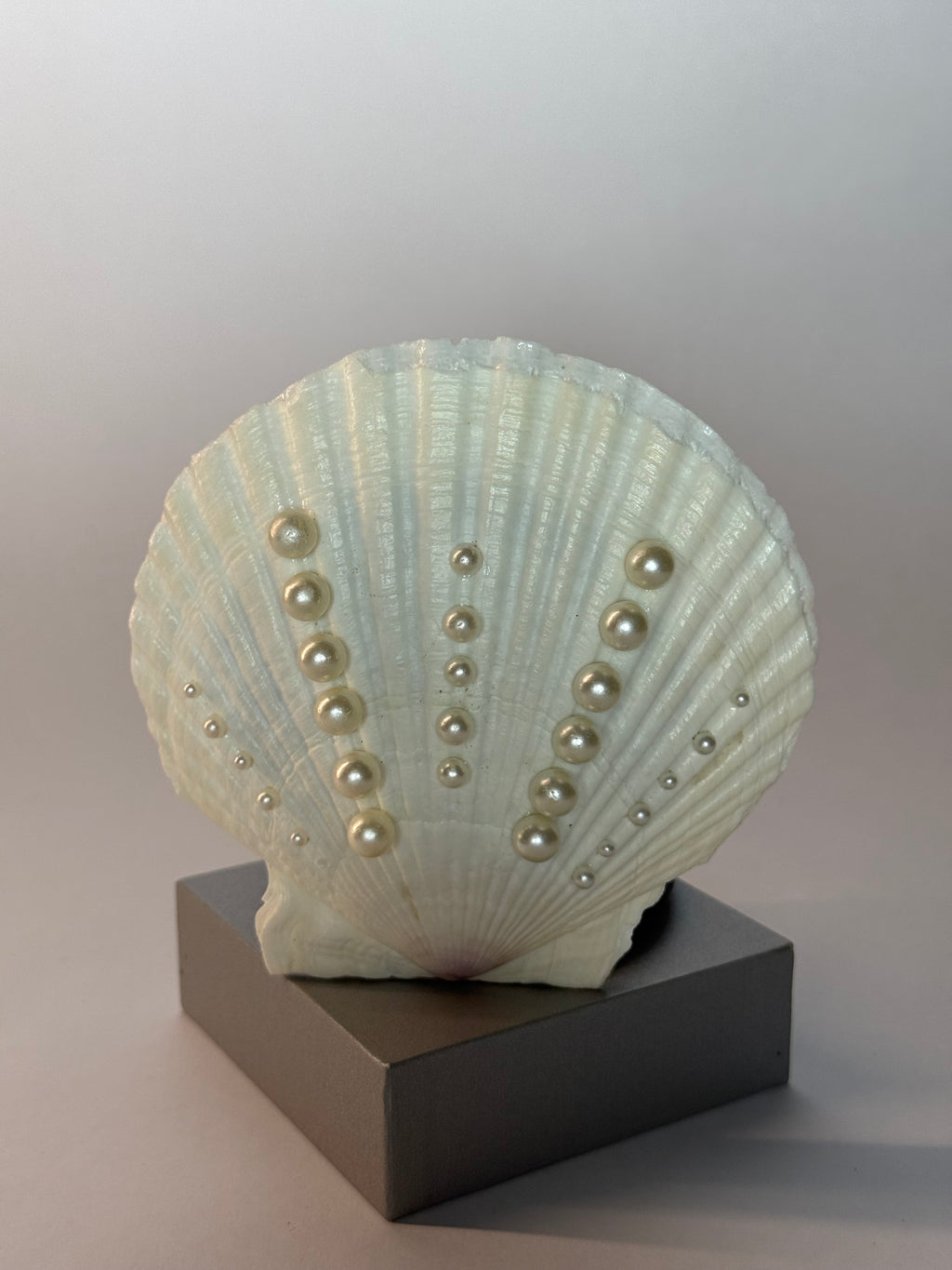 Azoria - Muschelspiegel