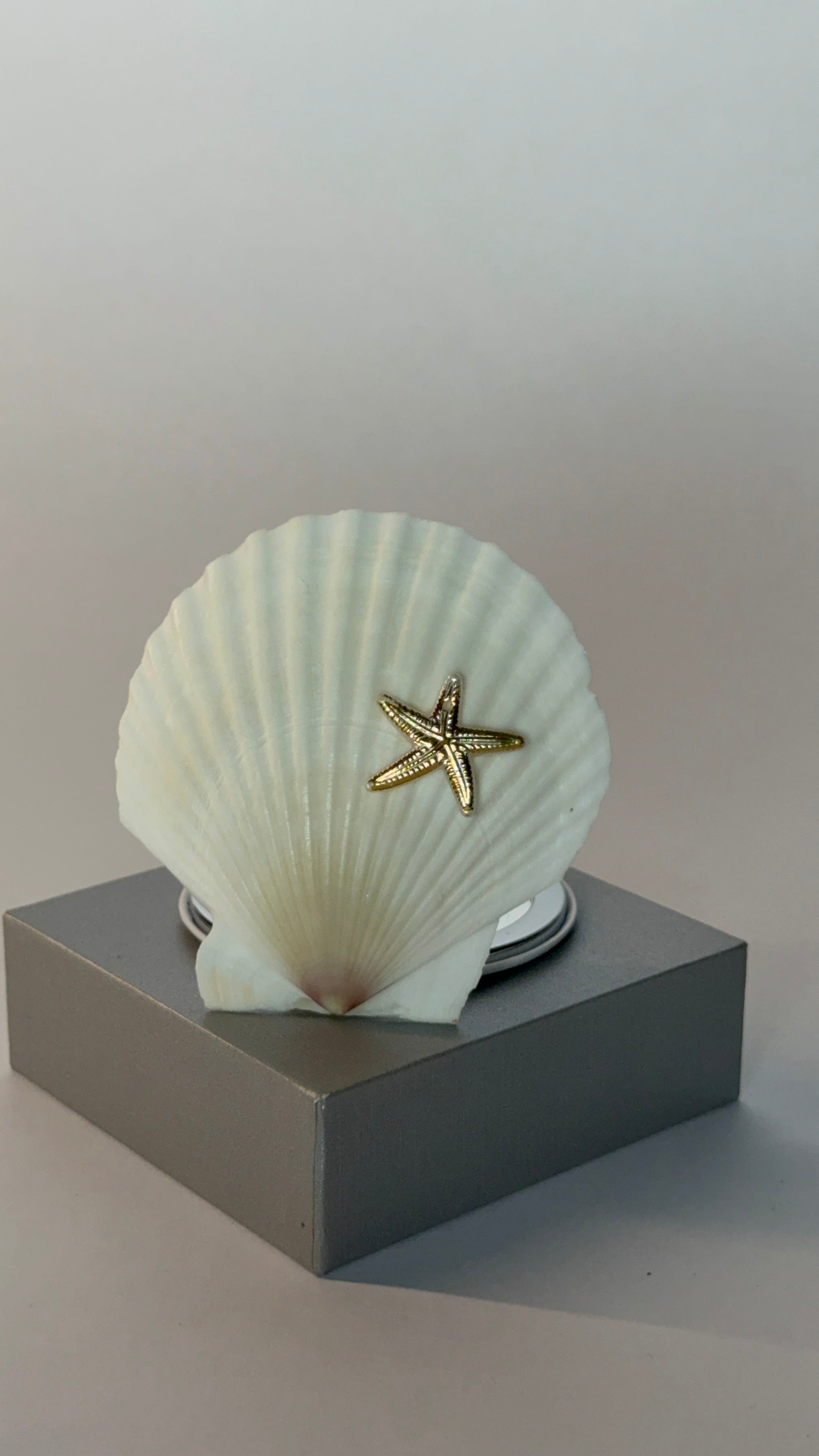 Bellamare – Shell Mirror