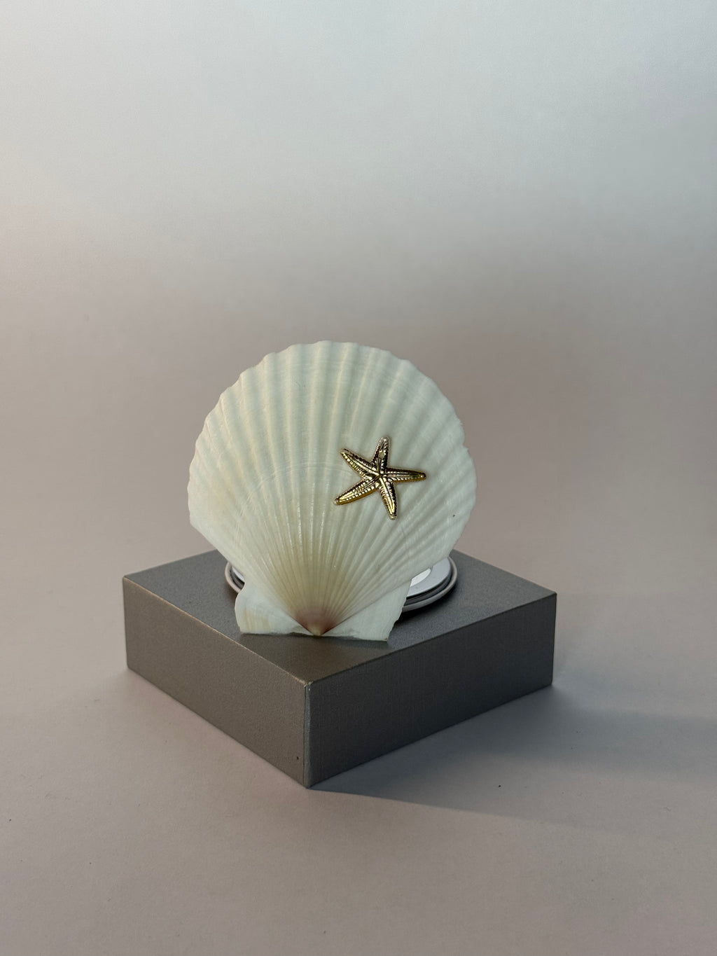 Bellamare – Shell Mirror