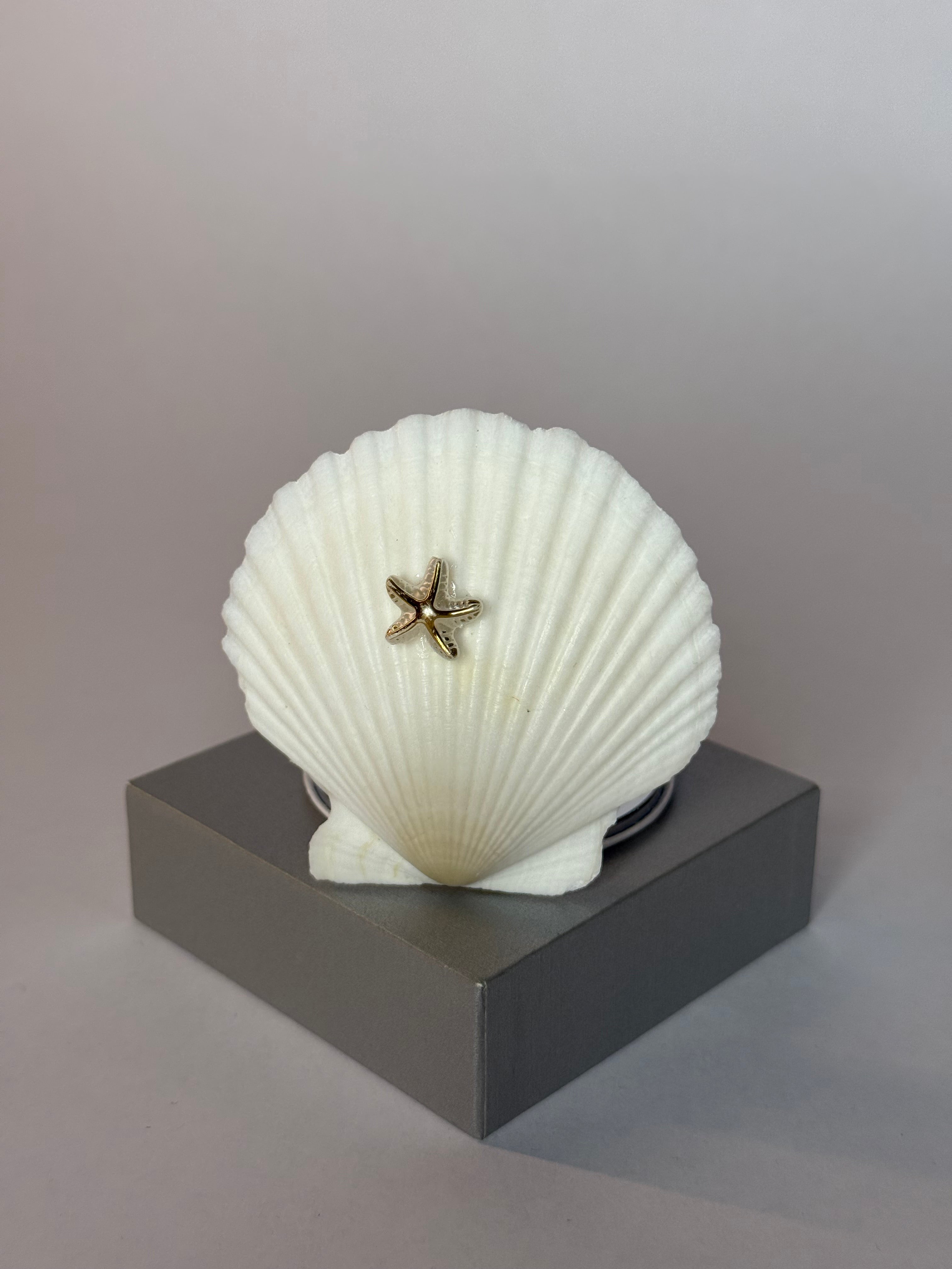 Bellamare – Shell Mirror