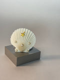 Bellamare - Muschelspiegel